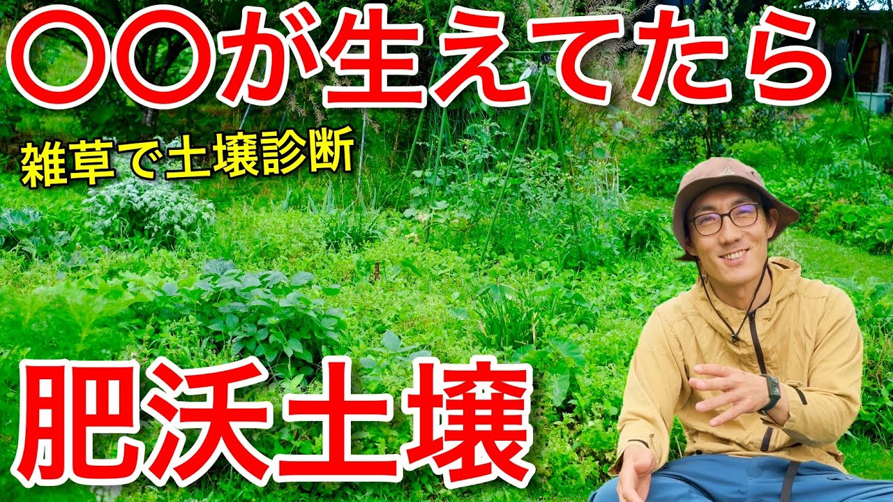 生えてる雑草で土壌診断！肥沃な土を好む雑草とは？