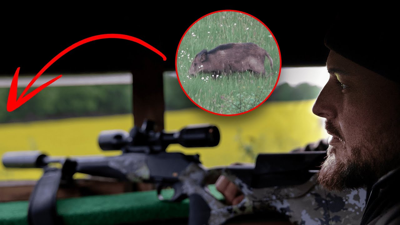 STARKE Strecke im Mai? - Jagd auf Sauen & Teufel im Hunsr&uuml;ck (Copterpro Jagd)