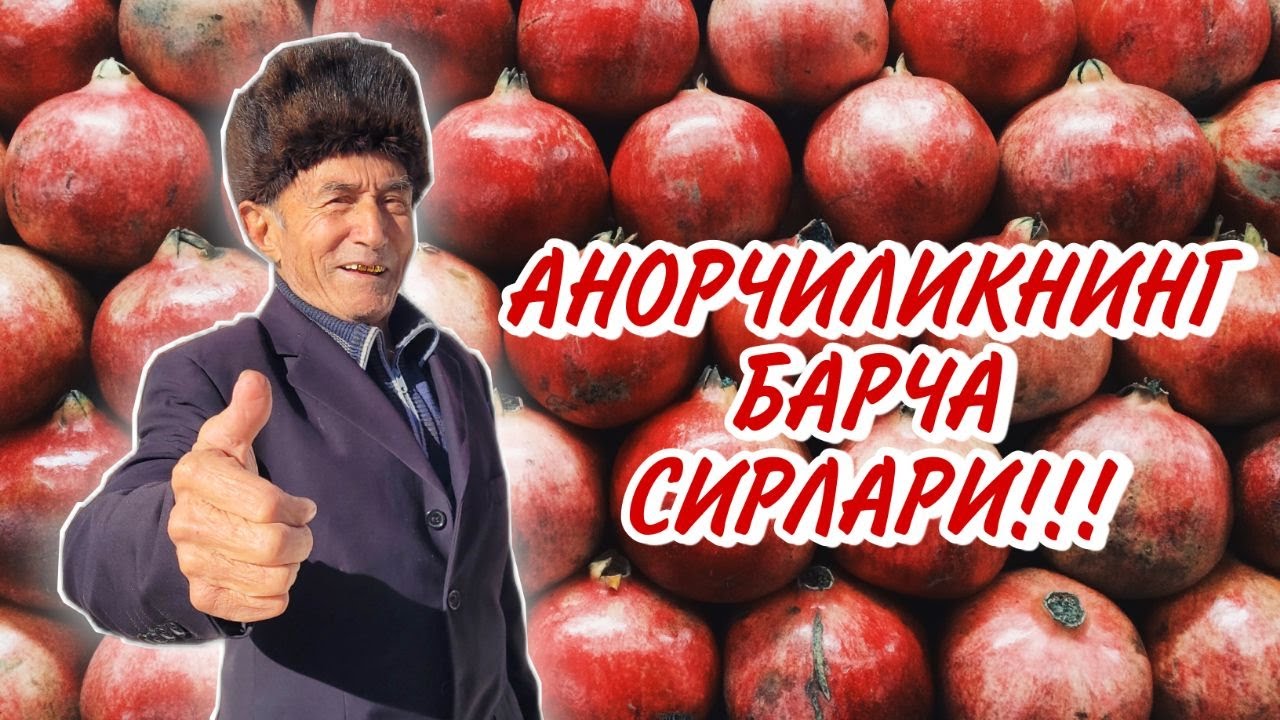 #АНОР етиштириш ҳақида 2-суҳбат