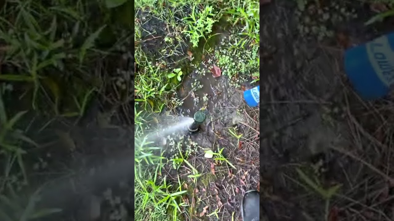 Hunter I-20 sprinkler head.