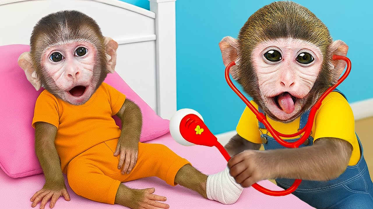 Momo MoMo Limpia la Casa y Prepara una FIESTA SORPRESA para el Mono Bebe en Casa | MONO MOMO ESP