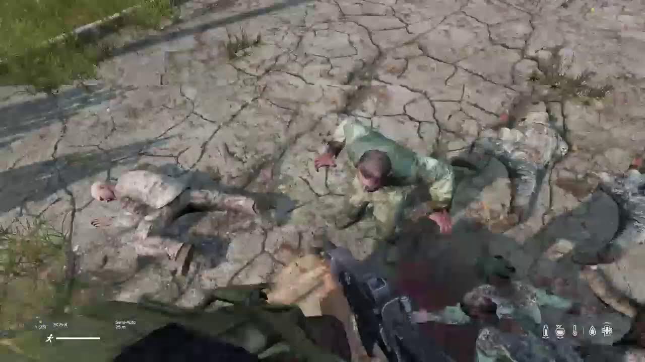DayZ 1k hrs POV Freshie