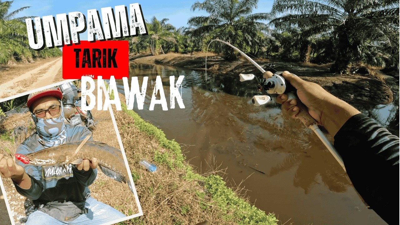 Casting Haruan | Terpaksa Masuk Parit LARANGAN untuk Dapatkan Ikan BESAR