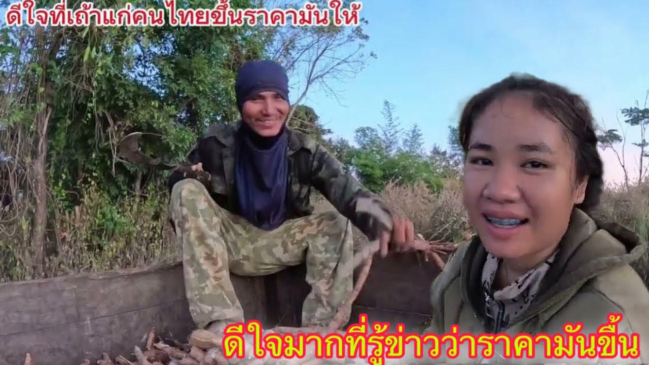 คนลาว🇱🇦หลายคนดีใจที่เถ้าแก่คนไทย🇹🇭จะขึ้นราคามัน สัปปะหลังให้อีก