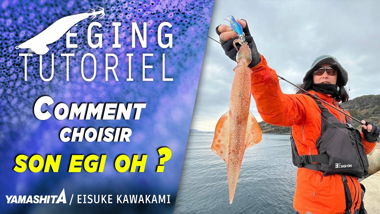 🎣🦑 YAMASHITA, dans la s&eacute;rie Egi Oh &ndash; Laquelle choisir ? 💡