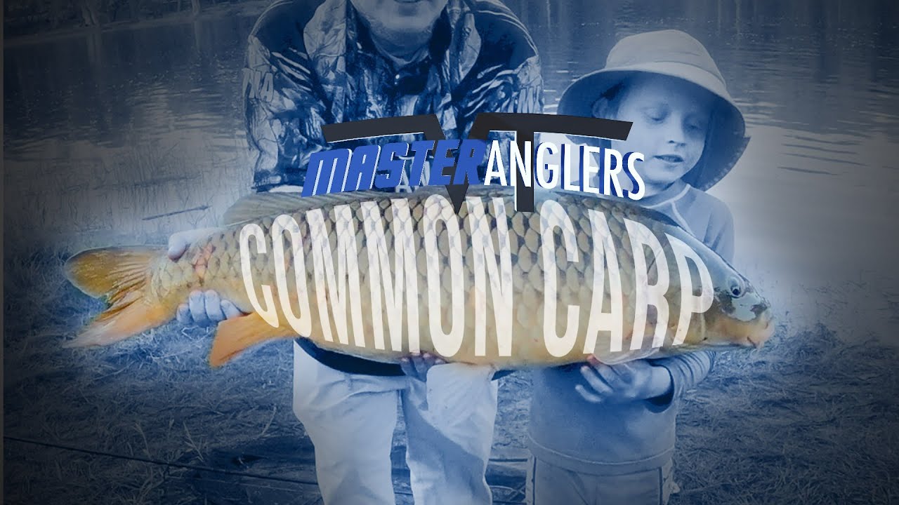 Catching Carp on Lake Champlain (Otter Creek)