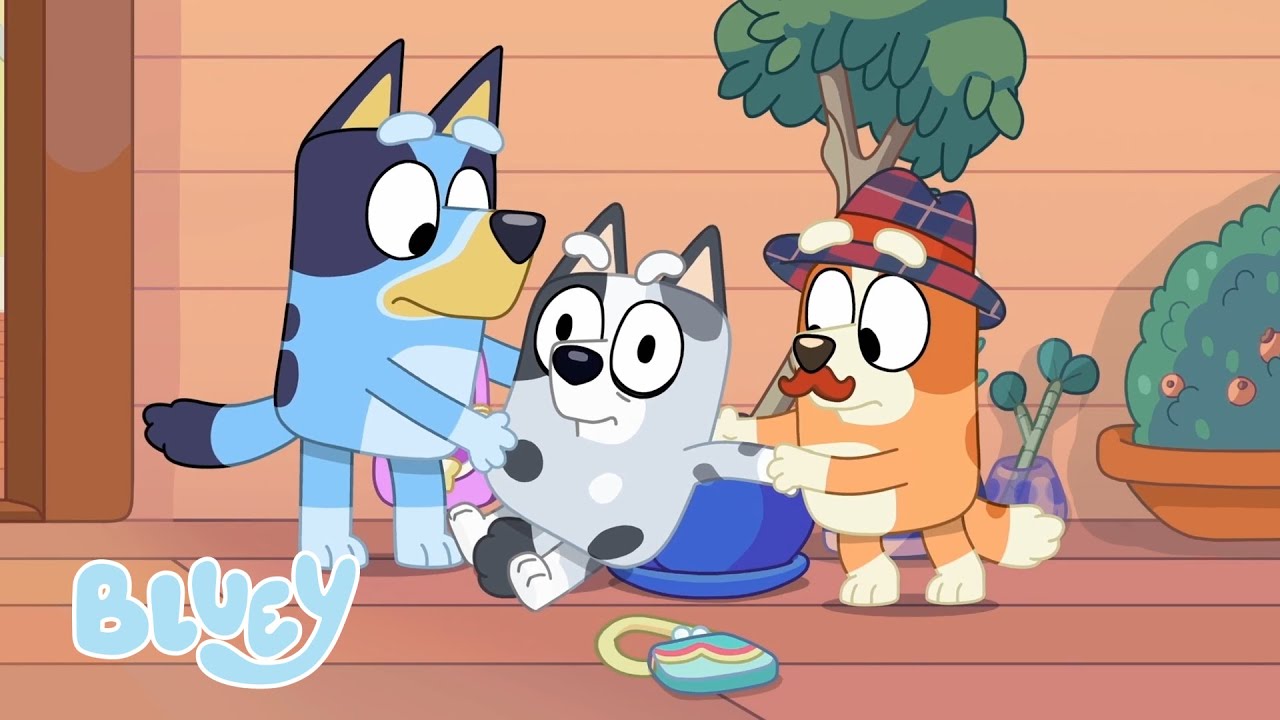 Najważniejsze informacje o Bluey Series 1 | Blue - oficjalny polski kanał