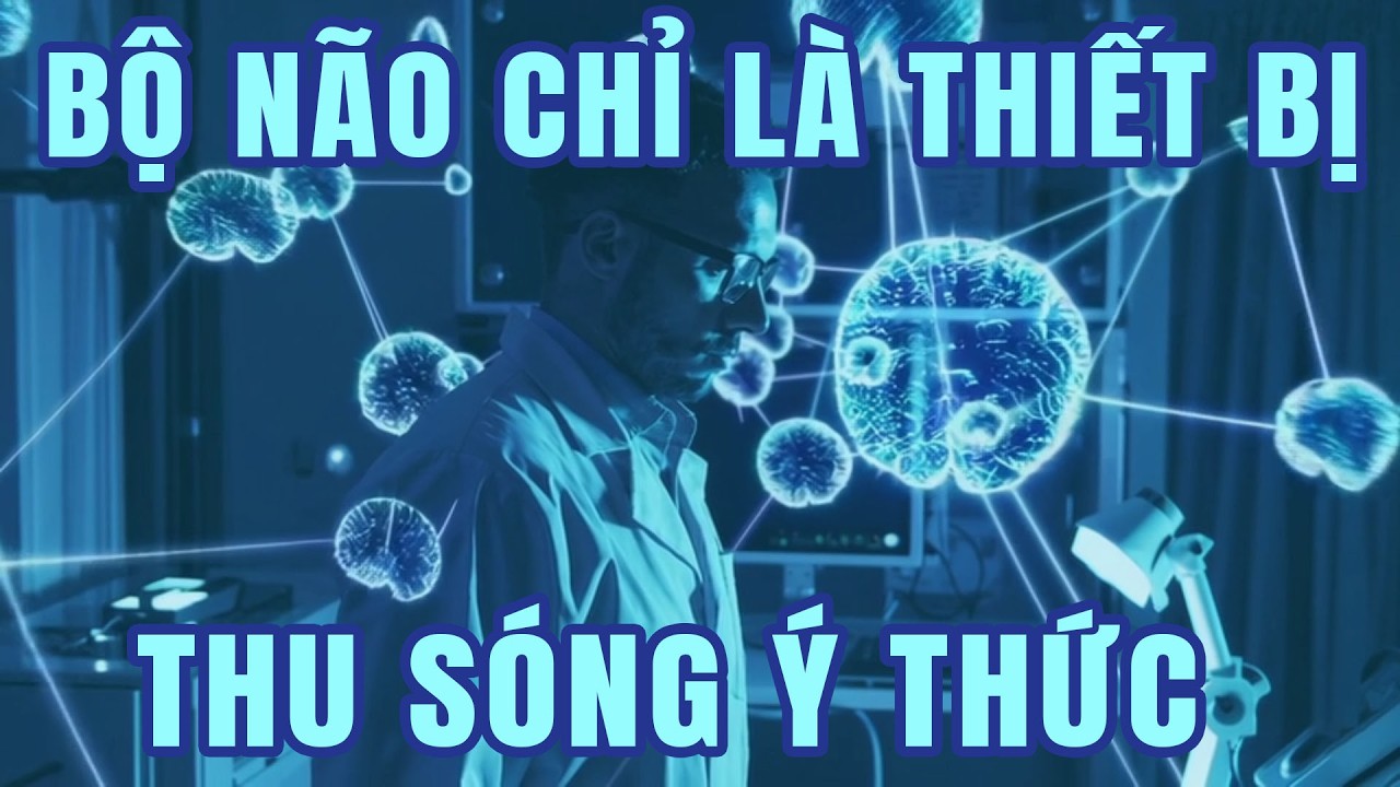 Vũ Trụ Lượng Tử Hé Lộ Bí Ẩn Bộ Não Chỉ Là Thiết Bị Thu Sóng Ý Thức
