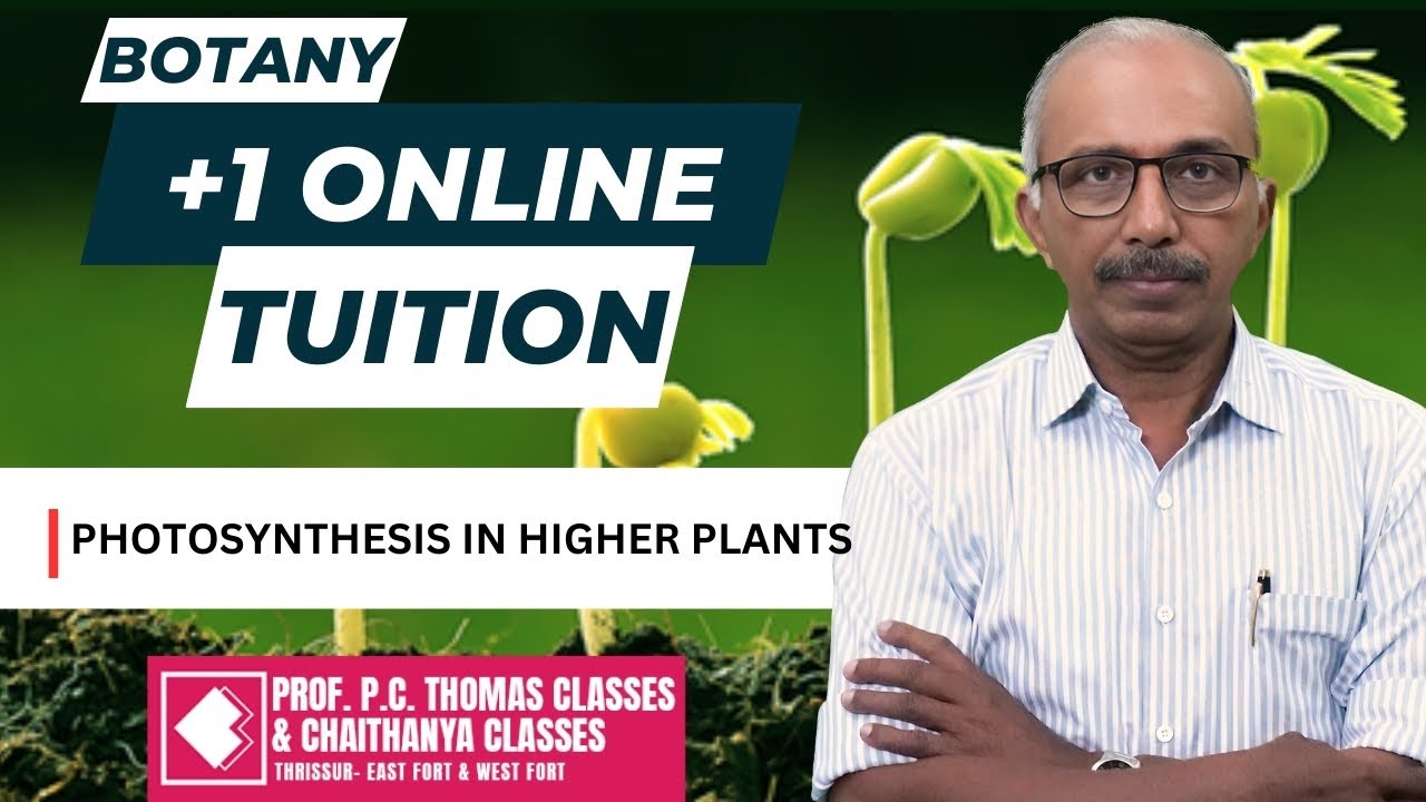 PLUS ONE ONLINE REGULAR TUITION BOTANY PHOTOSYNTHESIS IN HIGHER PLANTS - 3