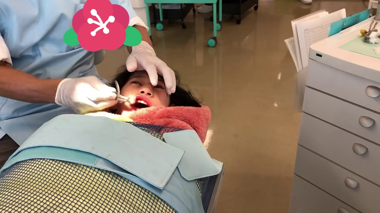 Dental clinic for special child / kulitz check up日本歯医者🦷