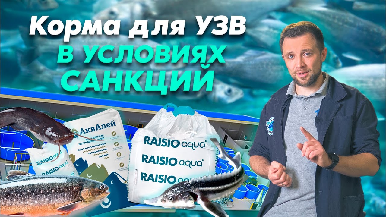 Как текущая СИТУАЦИЯ ПОВЛИЯЛА на рынок КОРМОВ для рыбы в УЗВ?