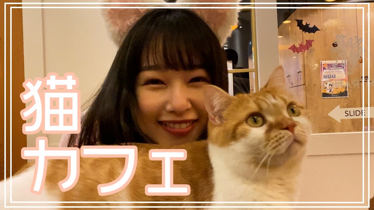 猫カフェに行ってきたよ！！