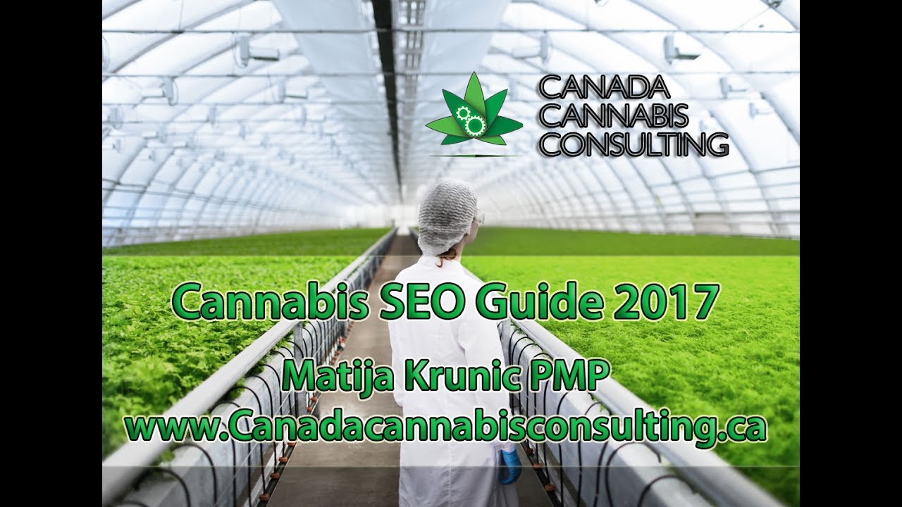 BEST Cannabis SEO Guide 2017 - Learn to Rank!