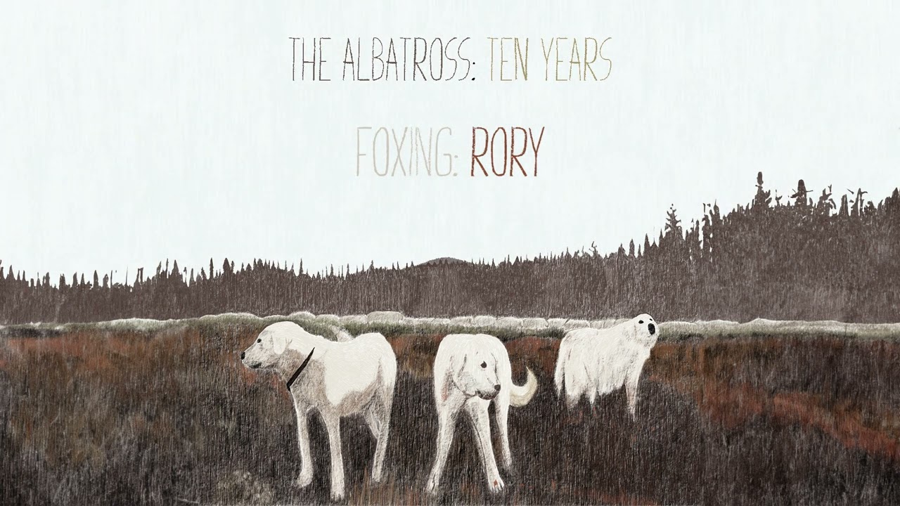 Foxing - 