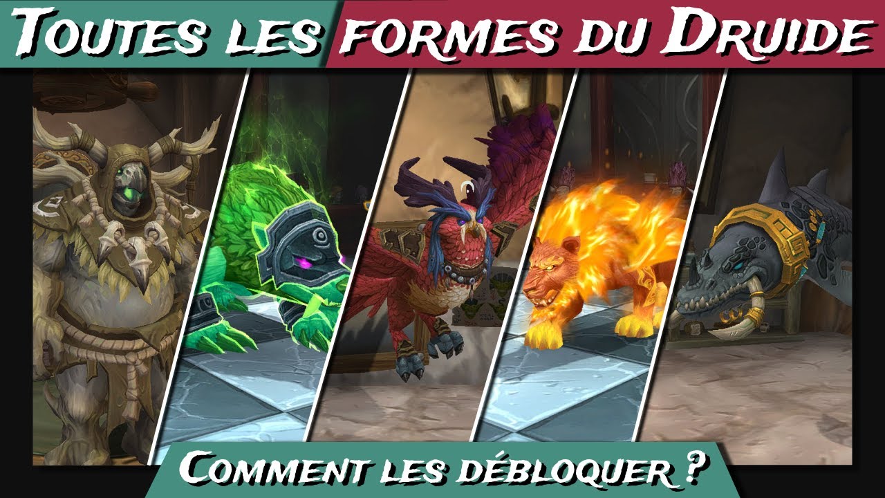 ⭐ 𝗚𝗨𝗜𝗗𝗘 𝗨𝗟𝗧𝗜𝗠𝗘 des 𝗙𝗢𝗥𝗠𝗘𝗦 𝗗𝗨 𝗗𝗥𝗨𝗜𝗗𝗘 │ Tuto WoW