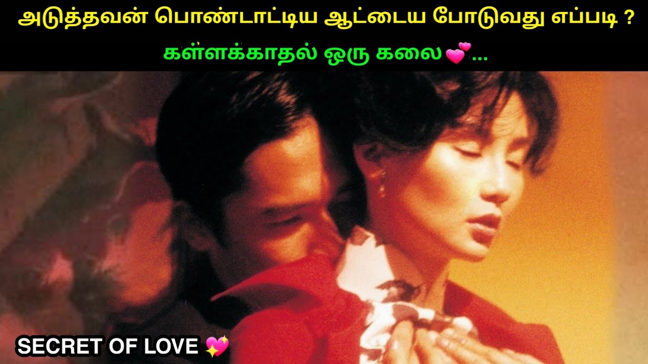 கள்ளக்காதல் ஒரு கலை | தமிழ் விளக்கம் | Mr Hollywood