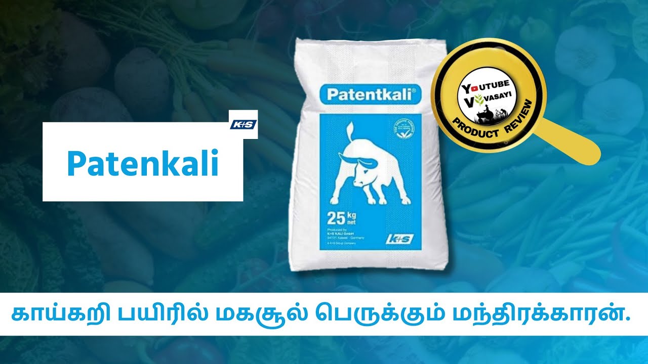 patent Kali - பேட்டன் காளி - புதிய தலைமுறை உரம்