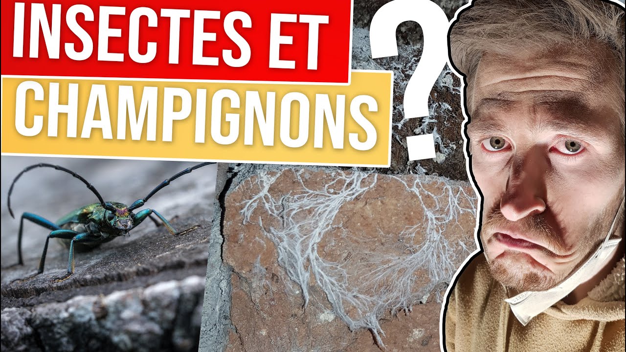 2 ans de travaux en 14 minutes