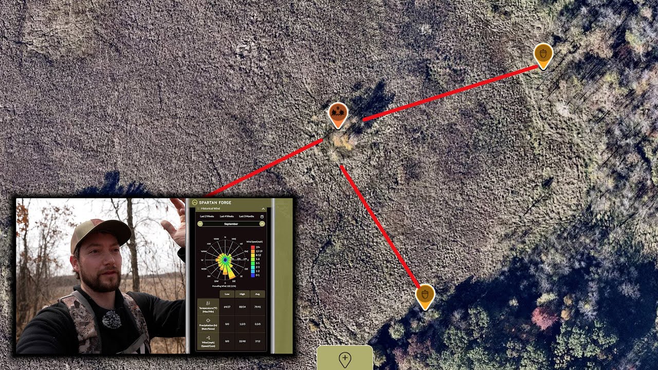 Deer Scouting in Cattail Marsh