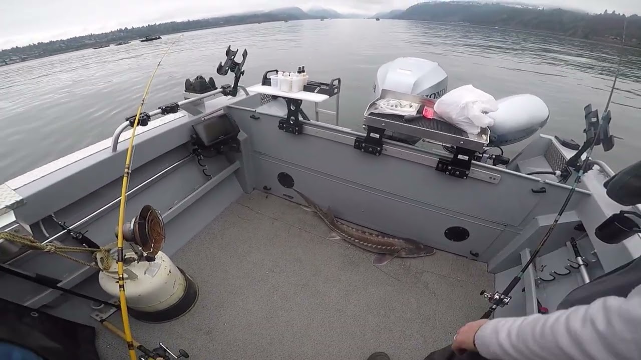 Sturgeon fishing January 1st, 2025 on Capt'n Bob's boat