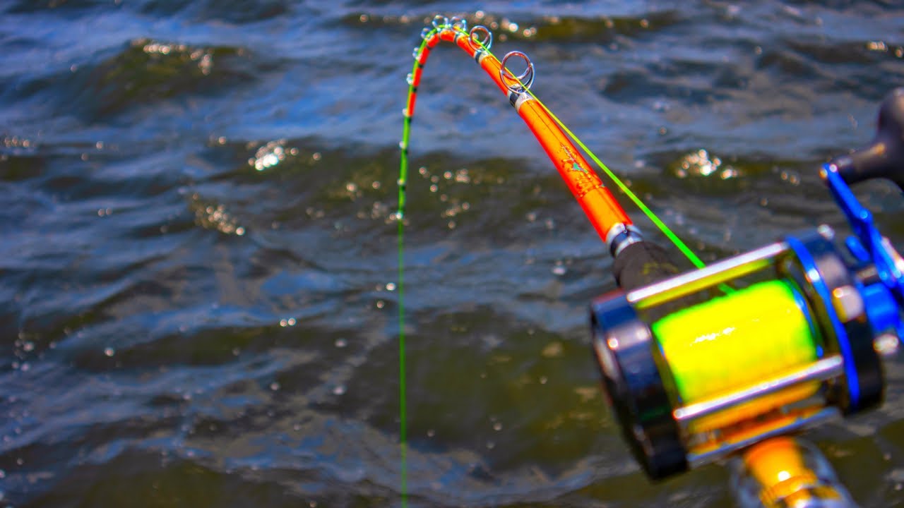 I dropped my baits in a 70ft hole and this is what I caught! {the original}