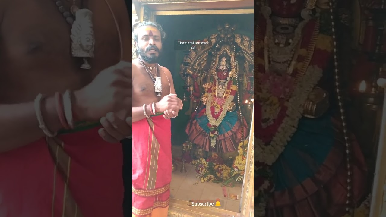 #குழந்தை வரம் தரும் பச்சை  பயிர்#சேலம் சமயபுரம் மாரியம்மன்#