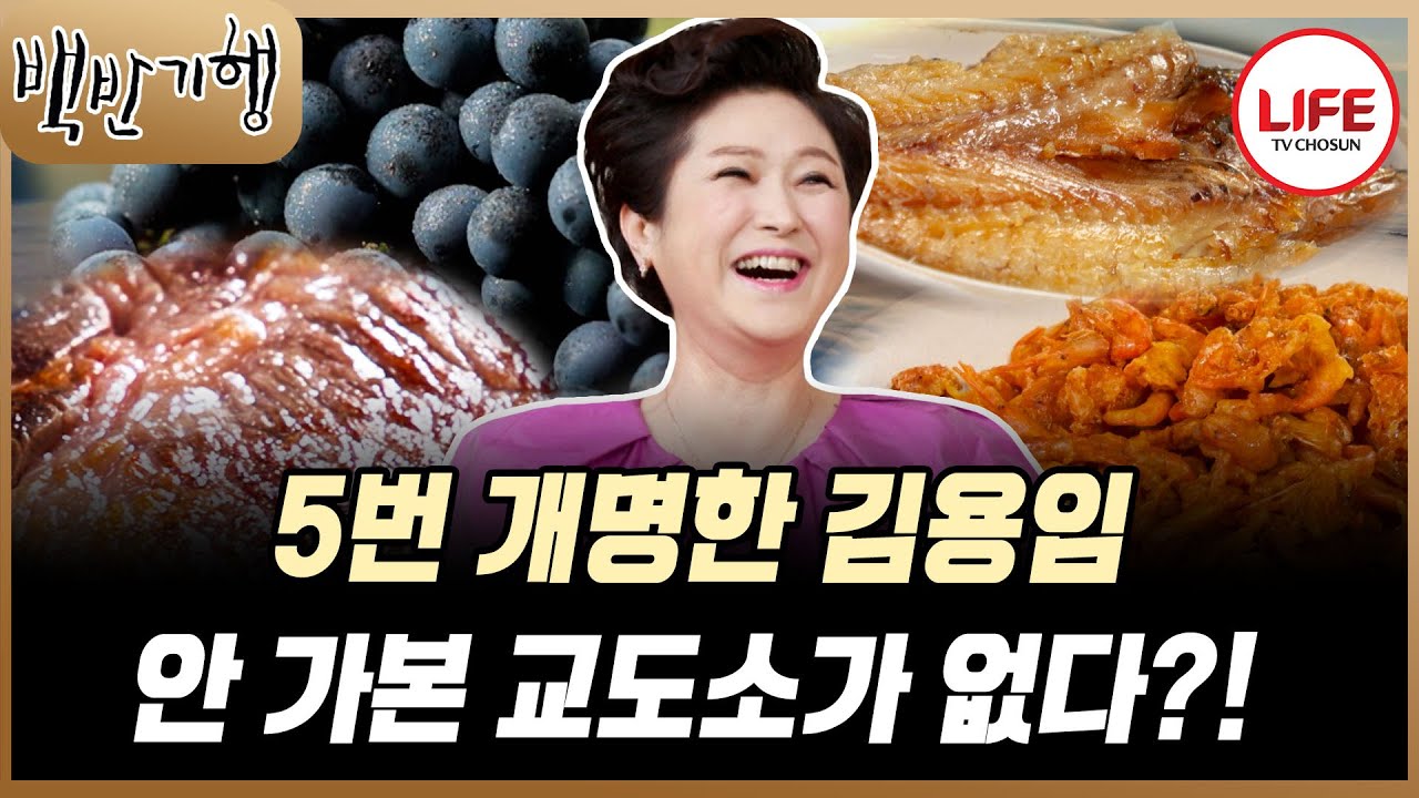 [#백반기행] 성대모사까지 잘하는 김용임? 밥 먹다 찐 팬 만나서 노래까지 불렀다! (TV CHOSUN 251004 방송)