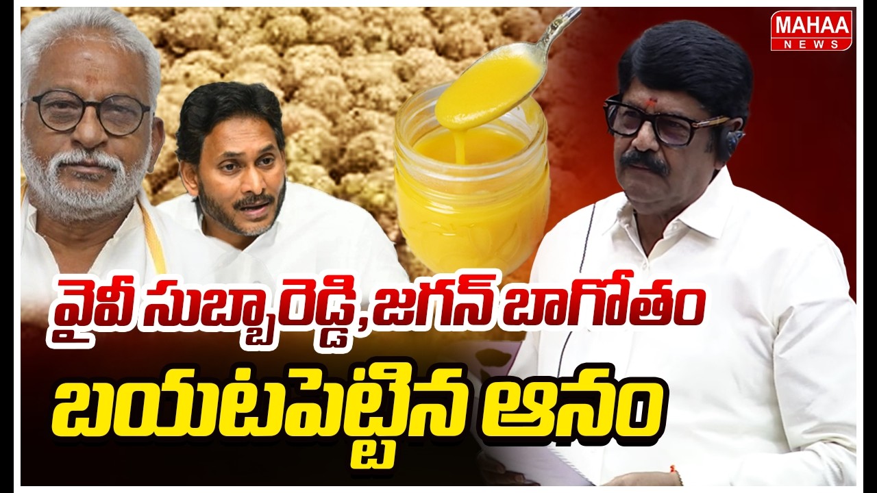 వైవీ సుబ్బారెడ్డి,జగన్ బాగోతం బయటపెట్టిన ఆనం | Anam Ramanarayana Reddy | AP Council