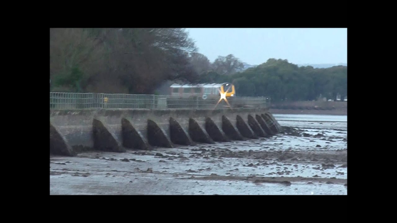 trains and birds at starcross