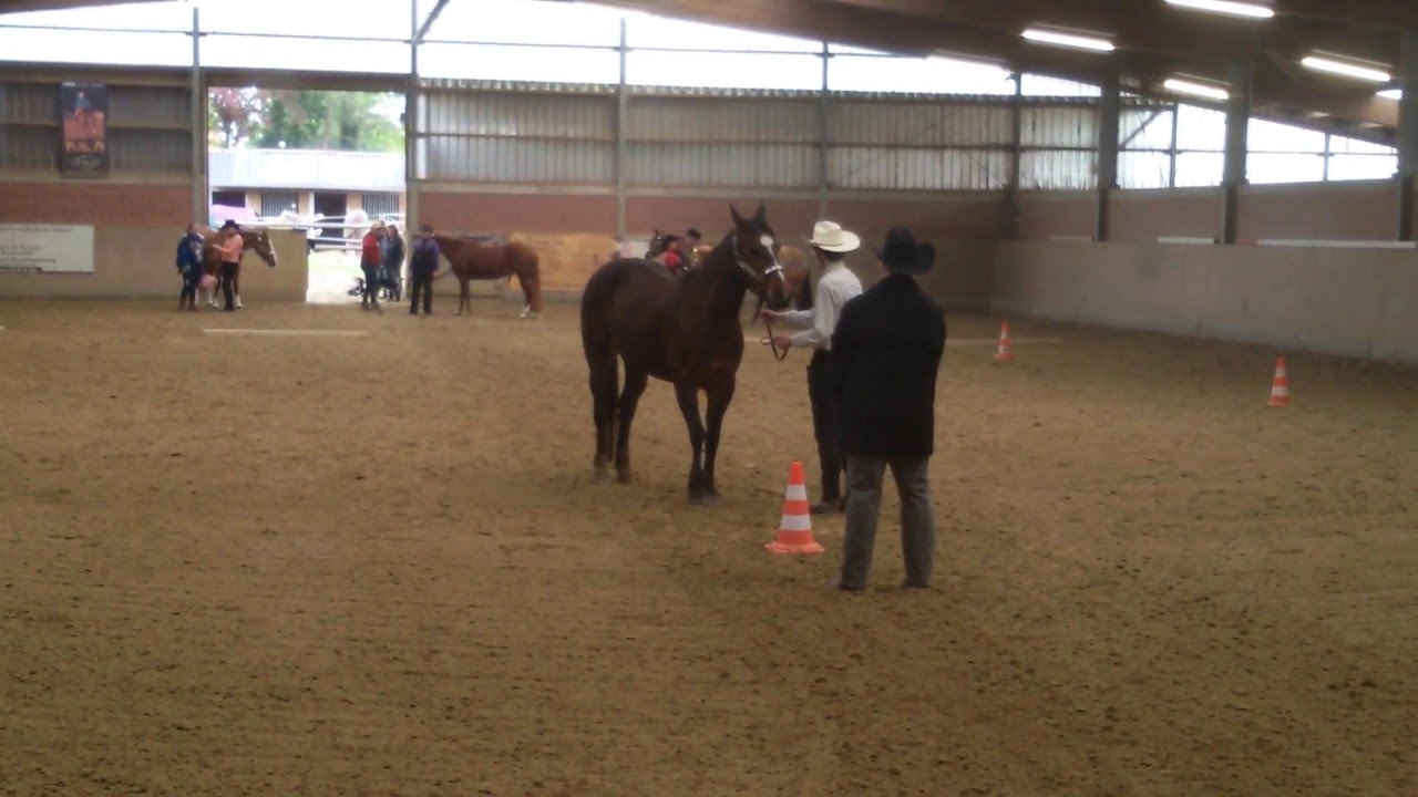 Janiks Showmanship C-Turnier Rhede 5. Platz