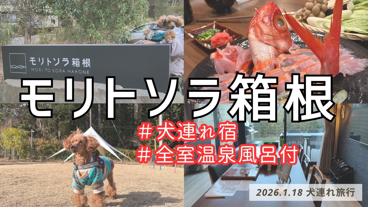【犬連れ箱根】お宿編 モリトソラ箱根