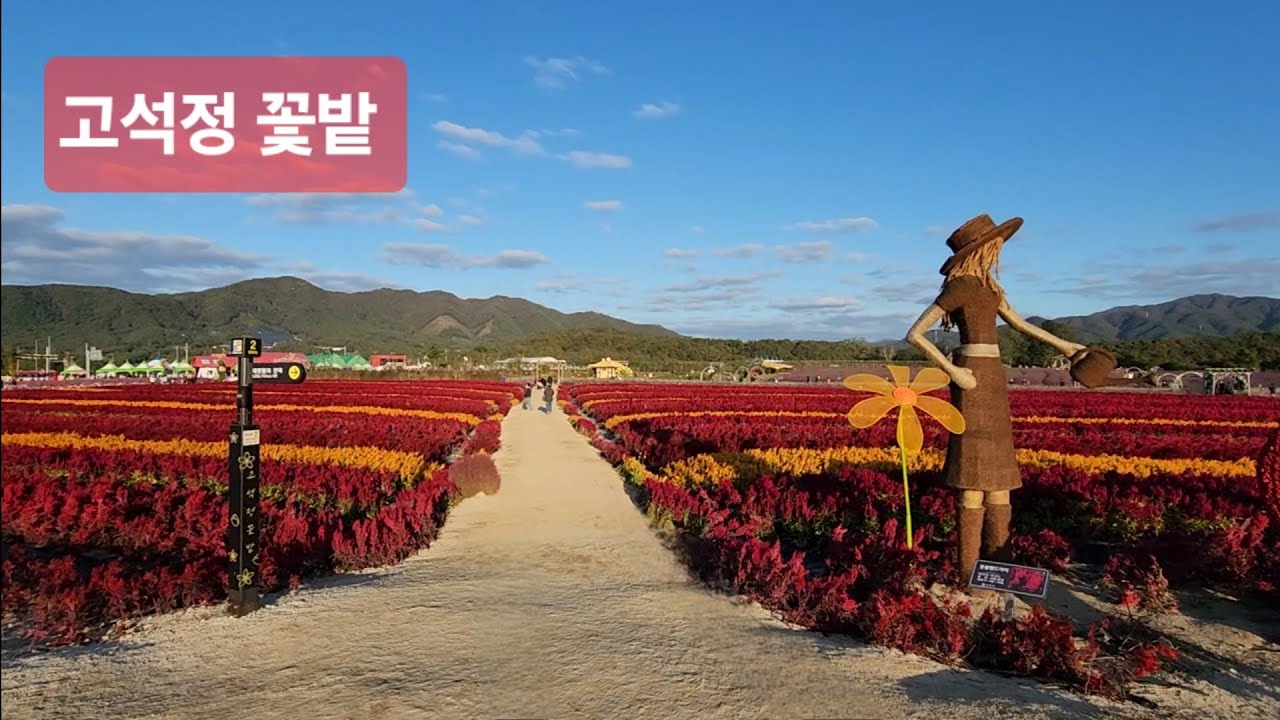 철원 고석정 꽃밭 #travel #여행 #절경 #고석정꽃밭 #고석정
