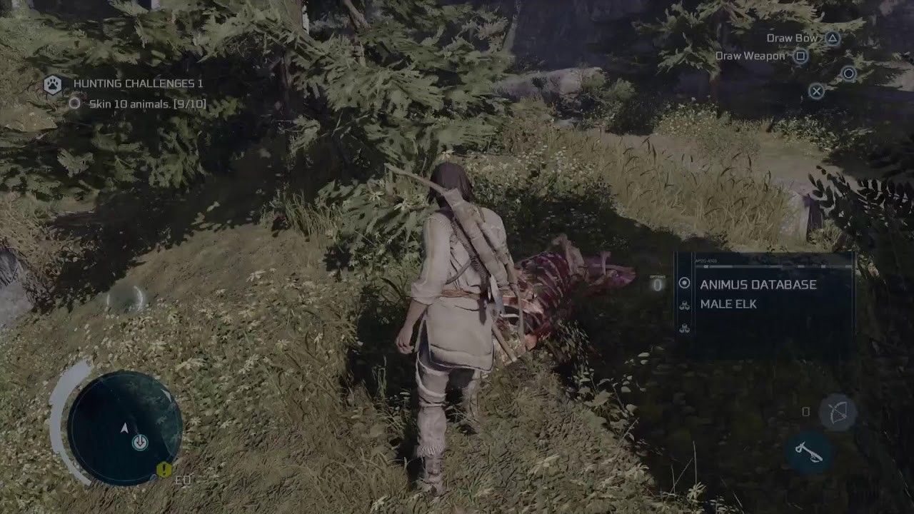 Assassin's Creed 3
