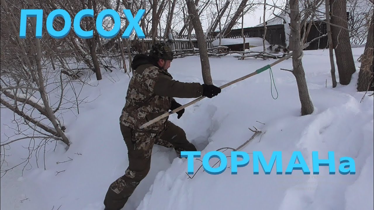 Посох ТОРМАНа! Надежный помощник!