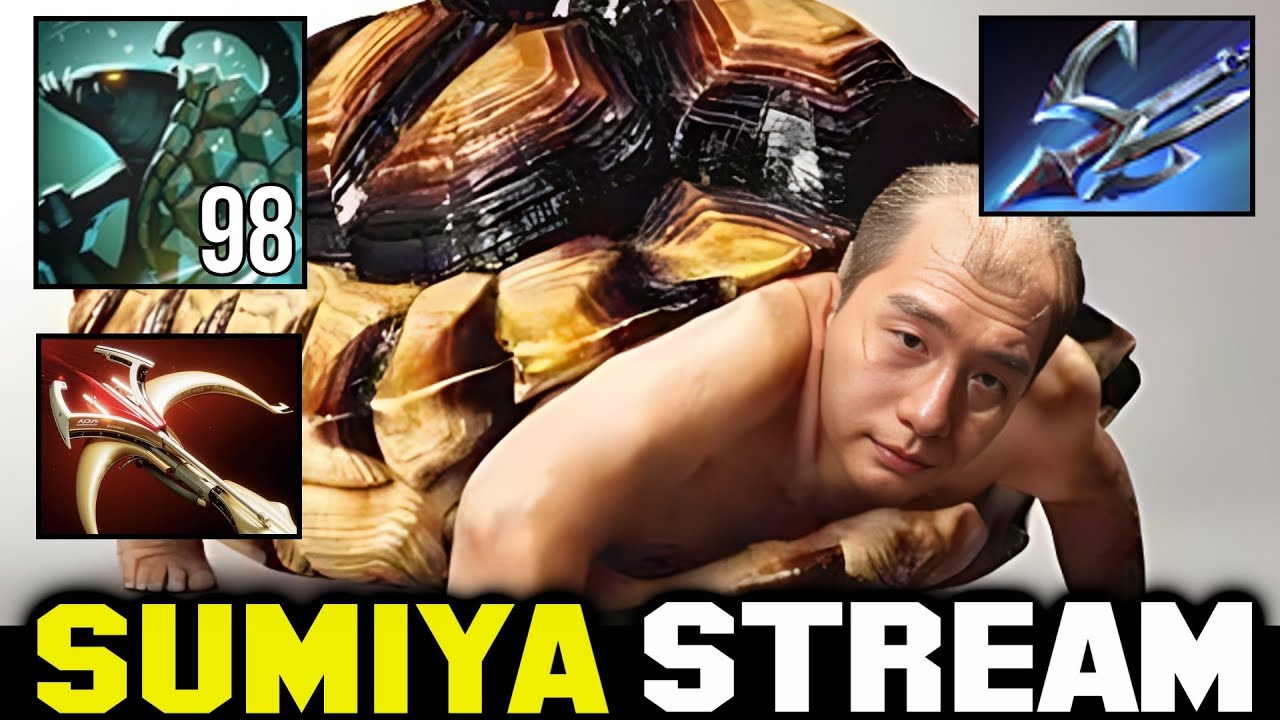 Sumiya Almost 100 stacks Shell Big Turtle