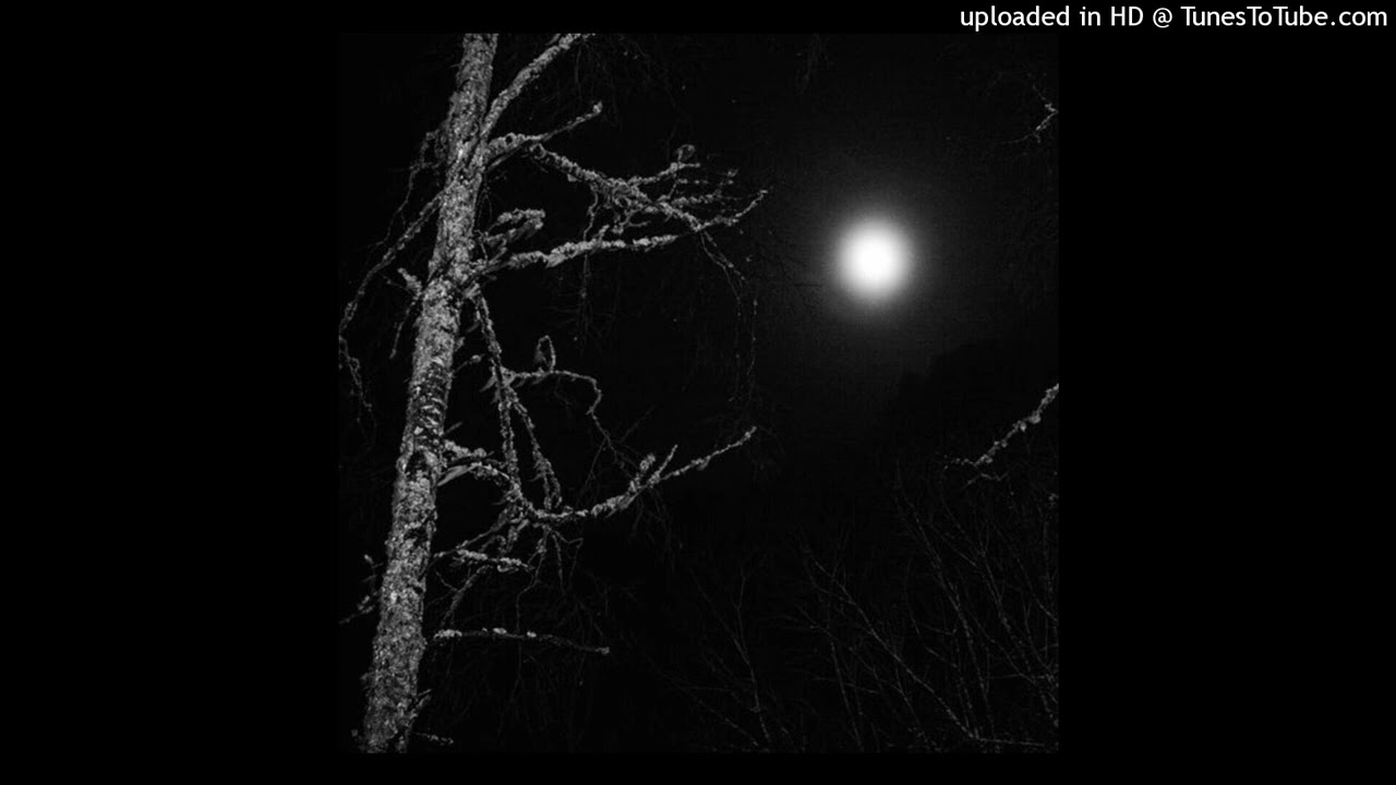 (free) destroy lonely x if looks could kill type beat 