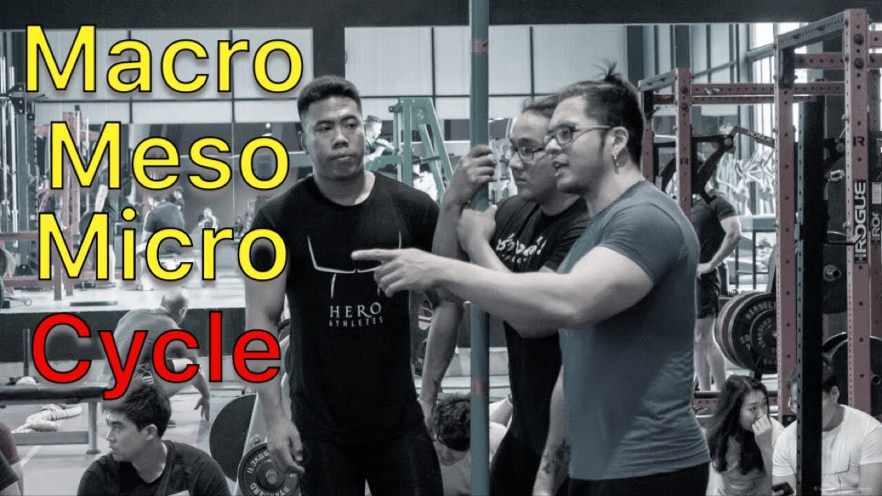 เล่นฟิตเนสอย่างฉลาด ต้องรู้จัก Macro, Meso, Micro Cycle   Hero Athletes