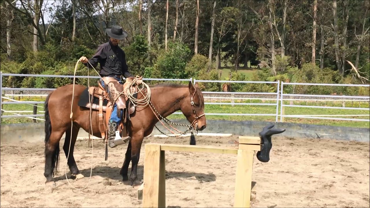 Ranch Roping - Building a Loop & Overhand Swing