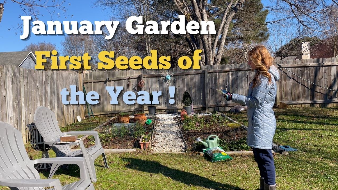 January Garden 🪴 First Seeds of the Year | Winter Sowing for Zone 8B