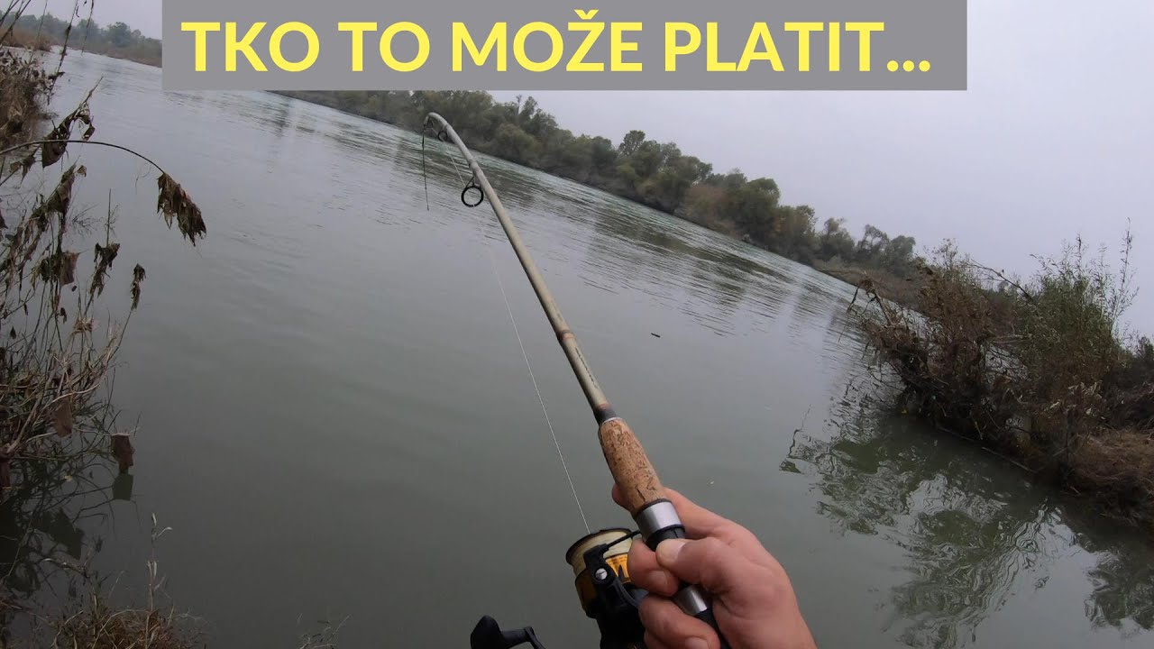 Savska neman