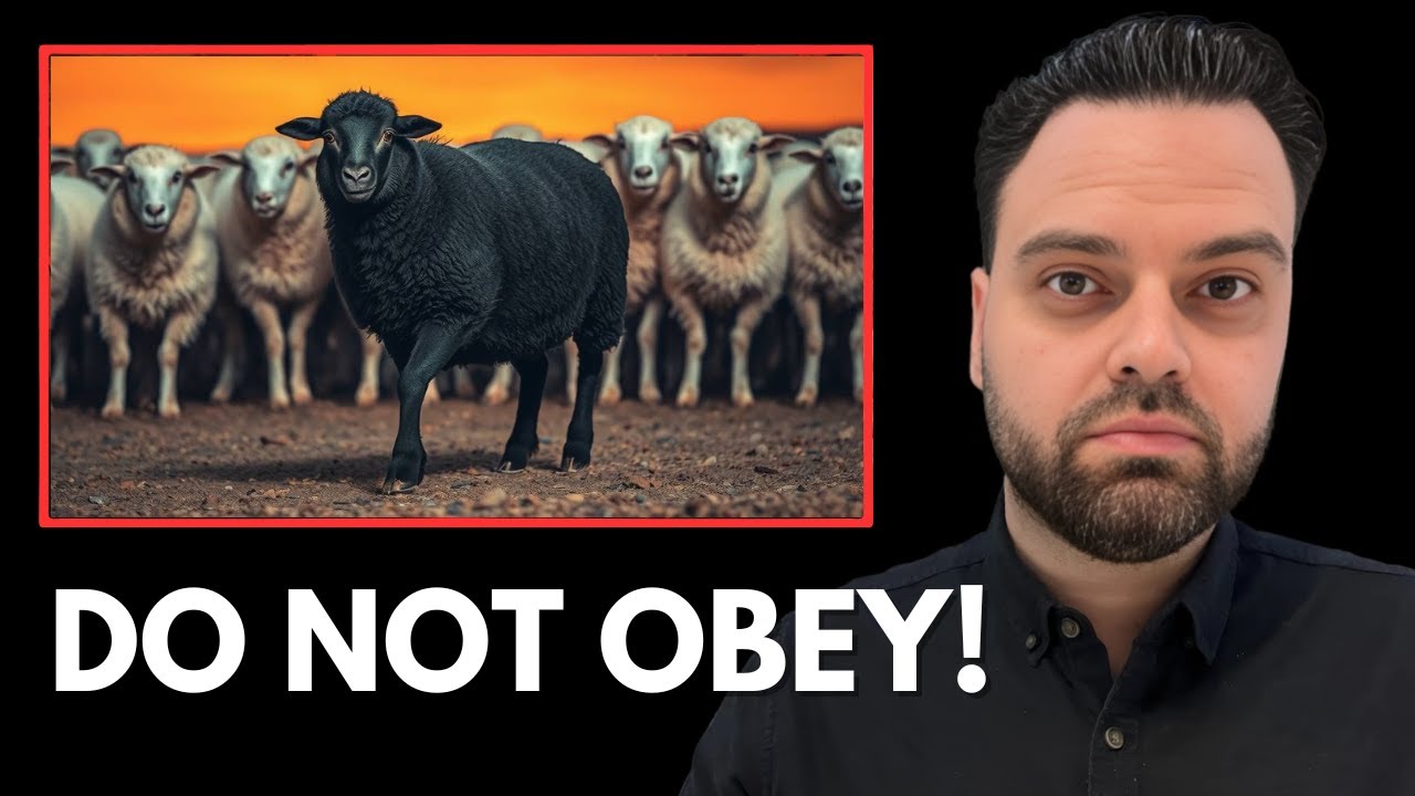 The World Hates People Who Refuse to Obey