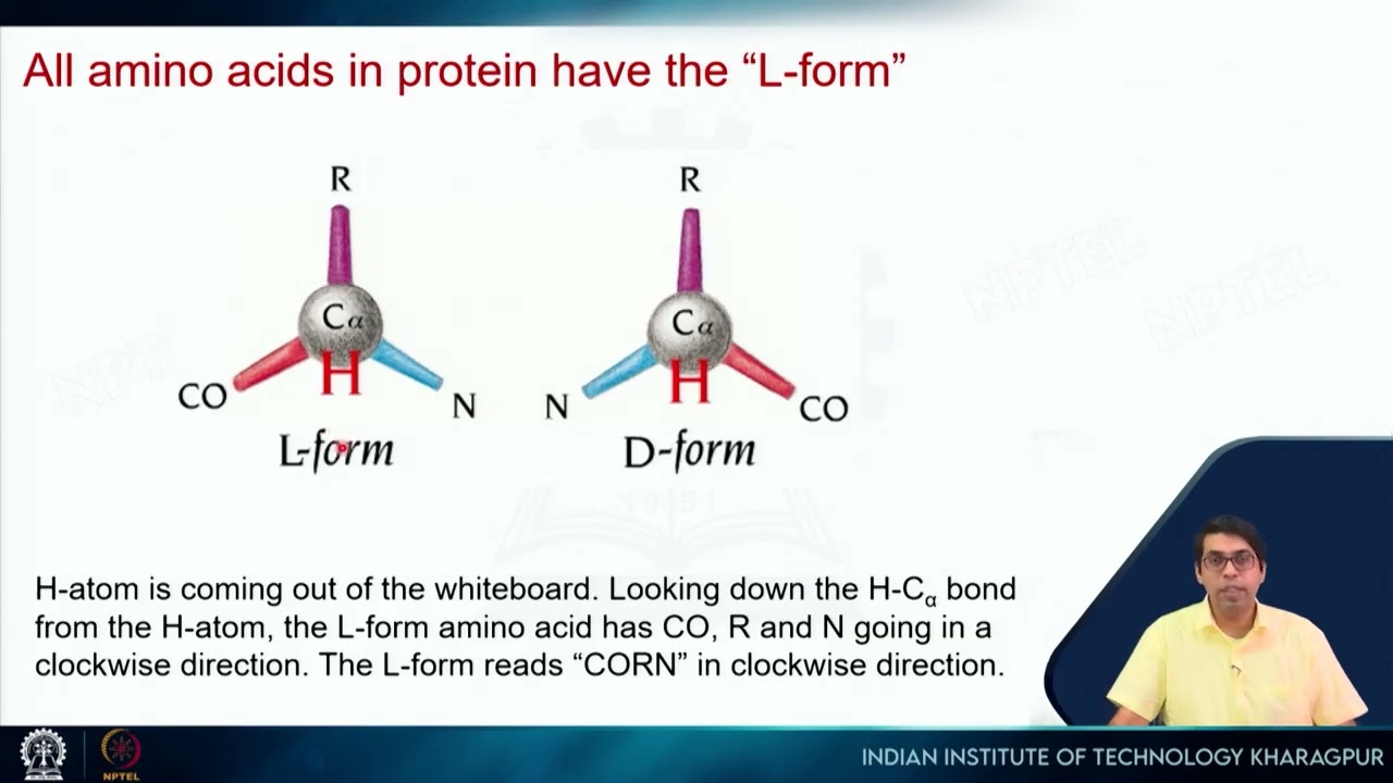 Lecture 11: Amino acids, hierarchy of protein structure #swayamprabha