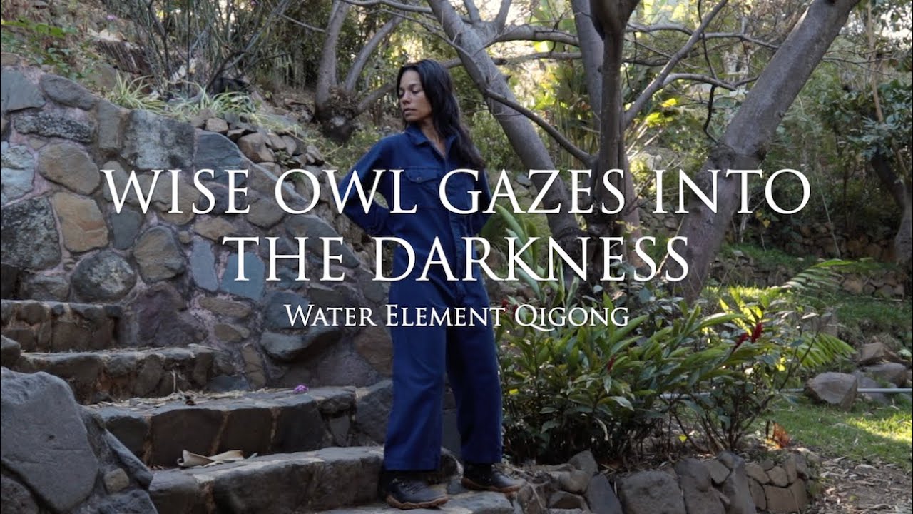 Wise Owl | Qigong for Dark Times, Seeing Beyond Eyes, Stress