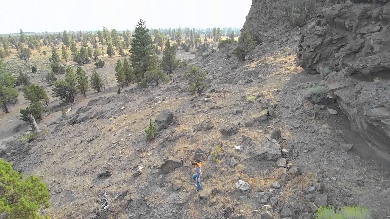 Christmas Valley, Oregon   The Lost Forest
