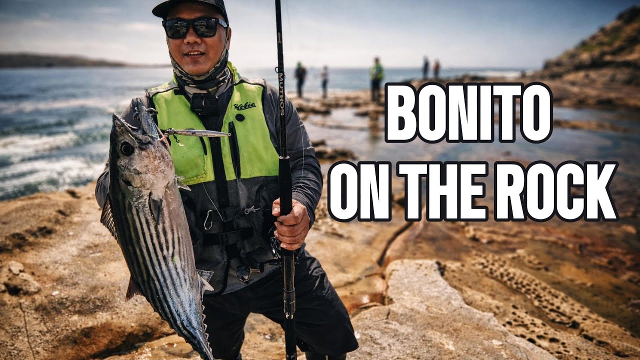 Bonito Went Crazy on the Rocks!