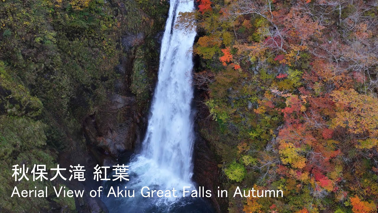 [4K] 🍁🚁秋保大滝 紅葉絶景 / Aerial View of Akiu Great Falls in Autumn