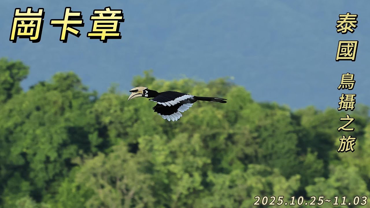 2025.10.25~11.03泰國(三) 崗卡章 國家公園 (野拍篇)