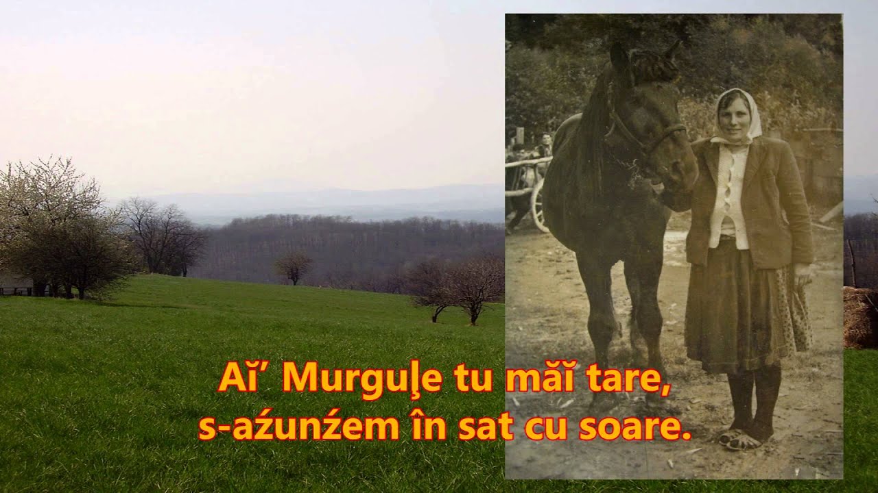 Trecui asară- Slavica Jovic Kolerovic