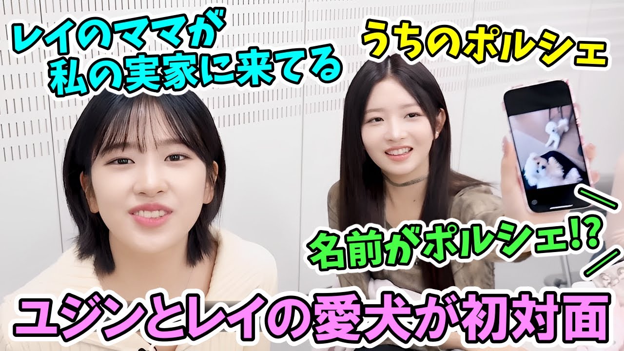 ユジンの実家にレイのママが遊びに行き愛犬同士の初対面を日本で可愛がるユジンとレイ