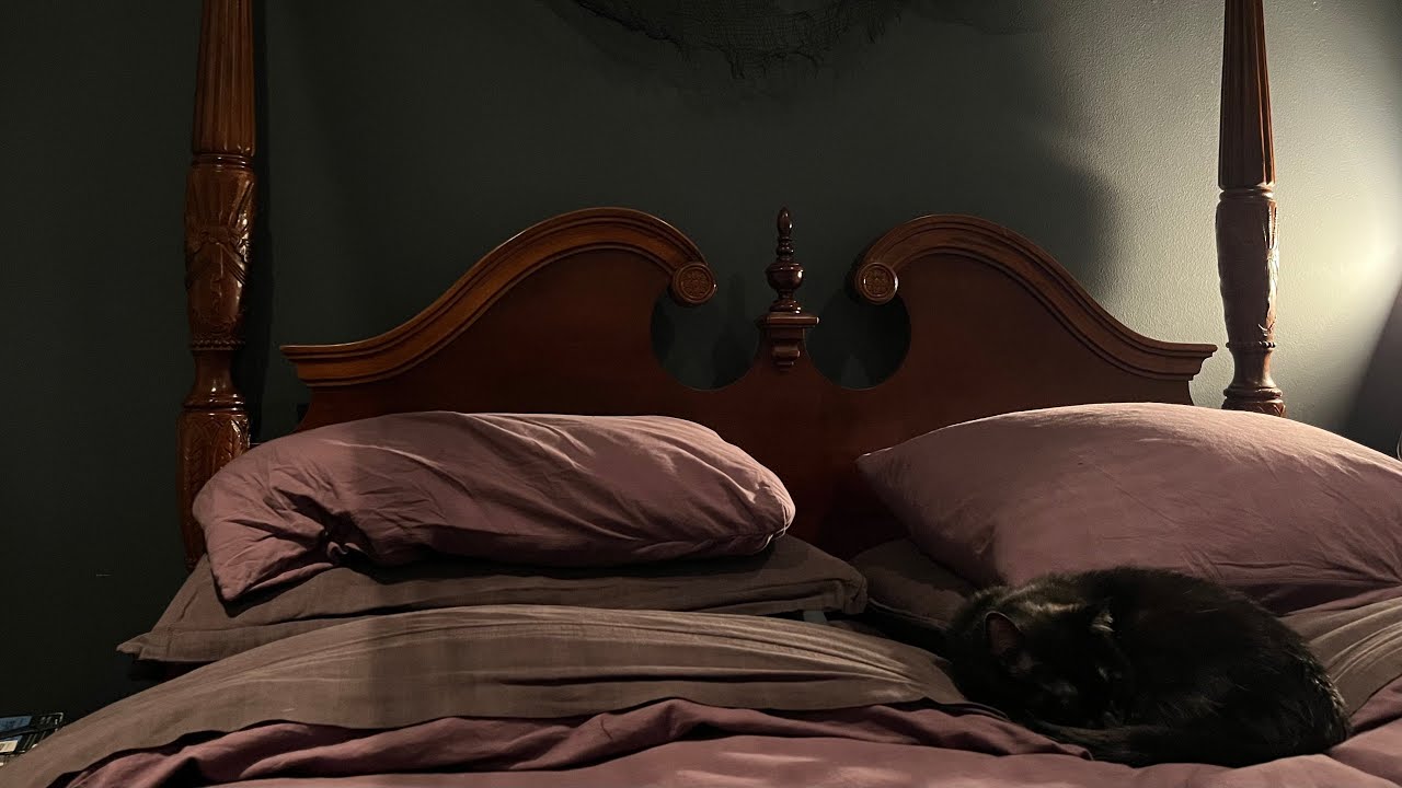 DIY Spooky Canopy Bed for Halloween 2025